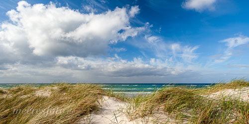  Mario Reinstadler fotografiert Nordsee und Ostsee. Link zu: www.meeresfoto.de
